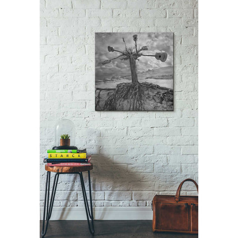 Image of 'Gitarodrzew' by Dariusz Klimczak, Canvas Wall Art,26 x 26