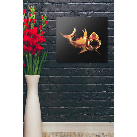 Image of 'White Shark' by Michael StewArt, Canvas Wall Art,26 x 30