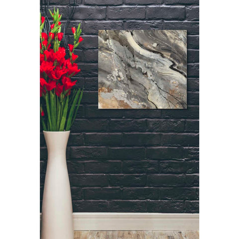 Image of 'Minerals IV Crop' by Albena Hristova, Canvas Wall Art,30 x 26