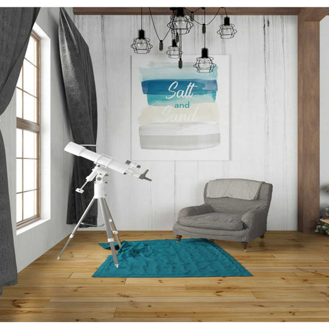 Image of 'Salt And Sand' by Linda Woods, Canvas Wall Art,26 x 30