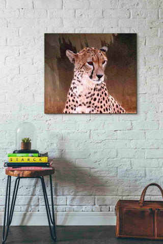 Image of 'Wildness Cheetah' by Karen Smith, Canvas Wall Art,30x26