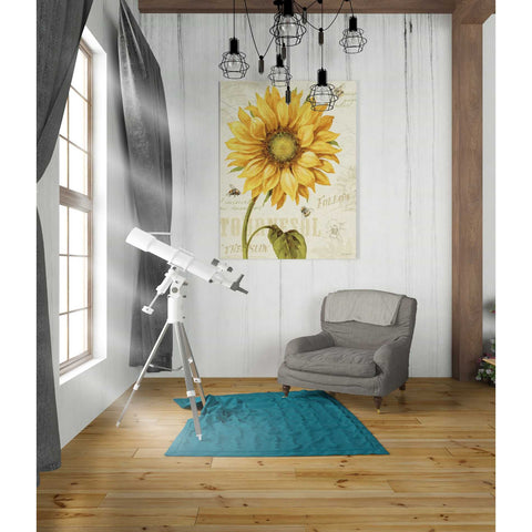 Image of 'Under The Sun I' by Lisa Audit, Canvas Wall Art,,26 x 30