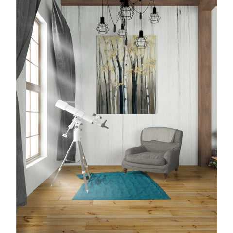Image of 'Golden Birch I' by Marilyn Hageman, Canvas Wall Art,26 x 34