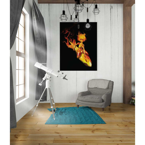 Image of 'Bombs Away' by Michael StewArt, Canvas Wall Art,26 x 34