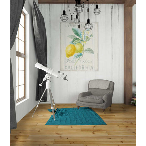 Image of 'Floursack Lemon II' by Danhui Nai, Canvas Wall Art,26 x 34