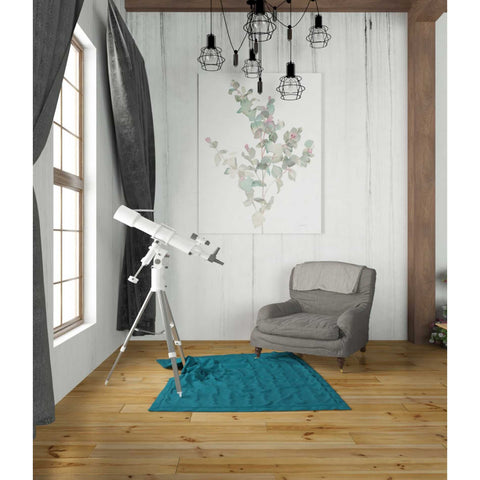 Image of 'Eucalyptus II White' by Danhui Nai, Canvas Wall Art,26 x 34