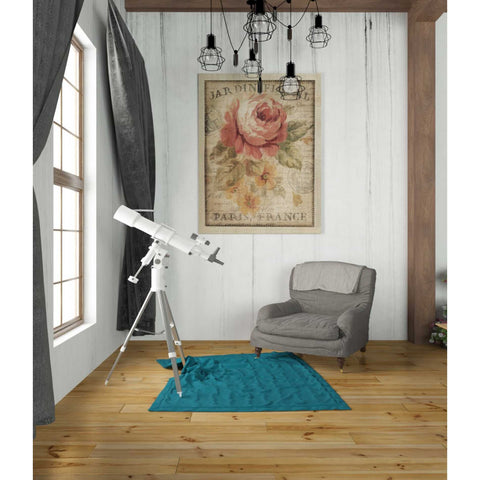 Image of 'Parisian Flowers II' by Danhui Nai, Canvas Wall Art,26 x 34