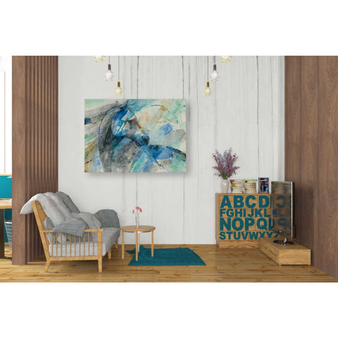 Image of 'Paloma' by Albena Hristova, Canvas Wall Art,34 x 26