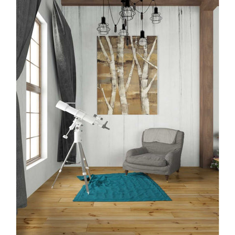 Image of 'Wandering Through the Birches I' by Albena Hristova, Canvas Wall Art,26 x 34