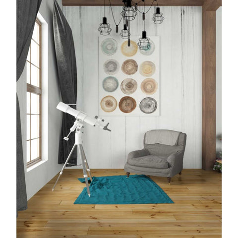 Image of 'Counting the Years' by Albena Hristova, Canvas Wall Art,26 x 34