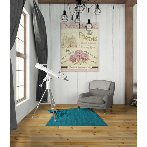 Image of 'French Seed Packet III' by Daphne Brissonet, Canvas Wall Art,26 x 34