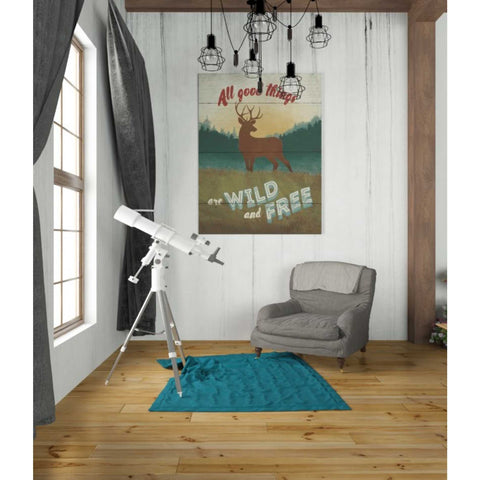 Image of 'Discover the Wild II' by Janelle Penner, Canvas Wall Art,26 x 34