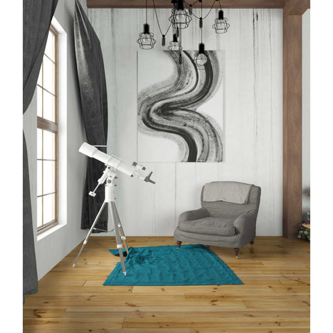 Image of 'Shakane1' Canvas Wall Art,26 x 34