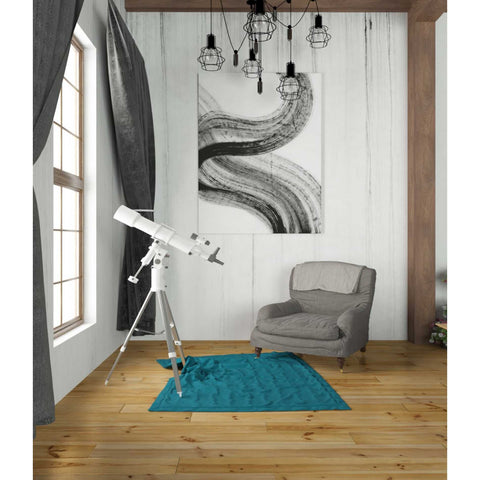 Image of 'Shakane2' Canvas Wall Art,26 x 34