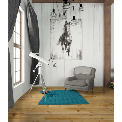 Image of 'Rustic Black Stallion I' by Ethan Harper Canvas Wall Art,26 x 34