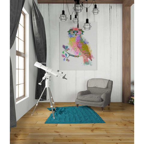 Image of 'Rainbow Splash Owl' by Fab Funky Giclee Canvas Wall Art