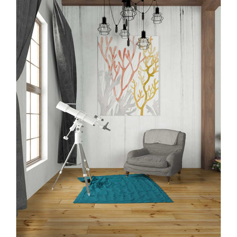 Image of 'Desert Coral I' by Grace Popp Canvas Wall Art,26 x 34