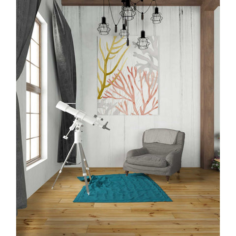 Image of 'Desert Coral II' by Grace Popp Canvas Wall Art,26 x 34