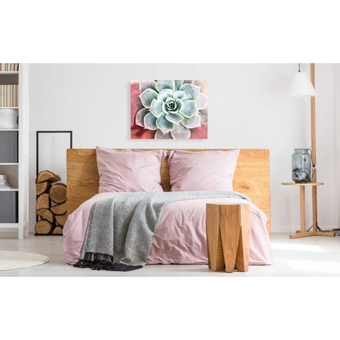 Image of 'Succulent Garden' by Irena Orlov, Canvas Wall Art,34 x 26