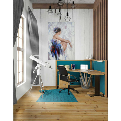 Image of 'Behind The Mirror 2' by Alexander Gunin, Canvas Wall Art,26 x 40