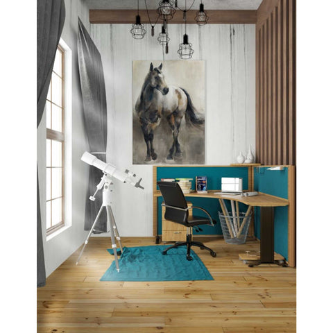 Image of 'Copper and Nickel' by Marilyn Hageman, Canvas Wall Art,26 x 40