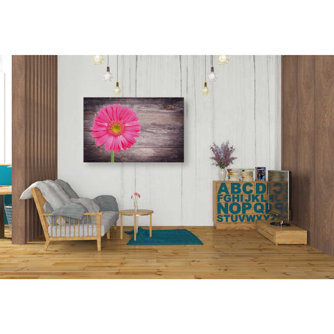 Image of 'Friendship' Canvas Wall Art,26 x 40