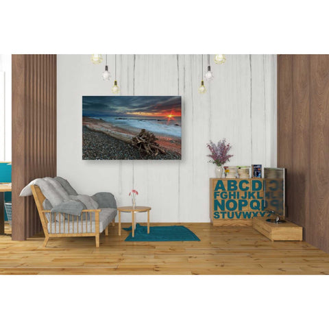 Image of 'Sakonnet Driftwood' by Katherine Gendreau, Giclee Canvas Wall Art