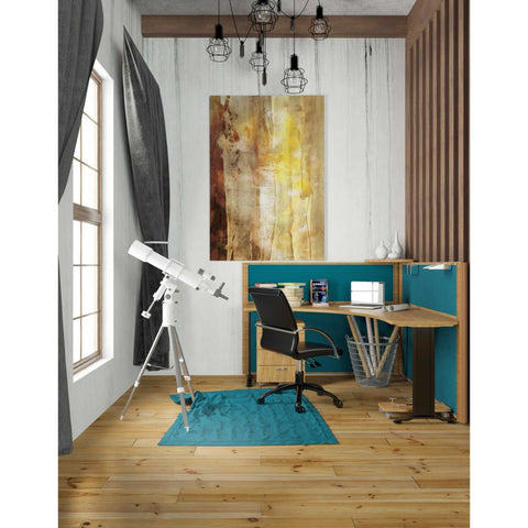 Image of 'Golden Glow I' by Sisa Jasper Canvas Wall Art,26 x 40