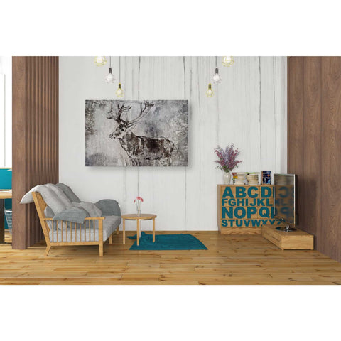 Image of 'Javan Rusa' by Irena Orlov, Canvas Wall Art,40 x 26