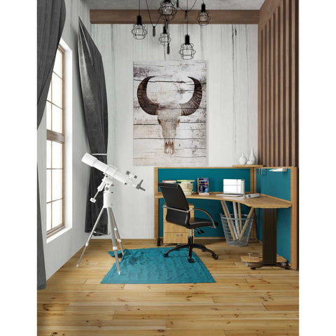 Image of 'Bullock Skull' by Irena Orlov, Canvas Wall Art,26 x 40