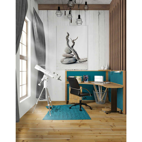 Image of 'Elemental Zen' by Elena Ray Canvas Wall Art,26 x 40