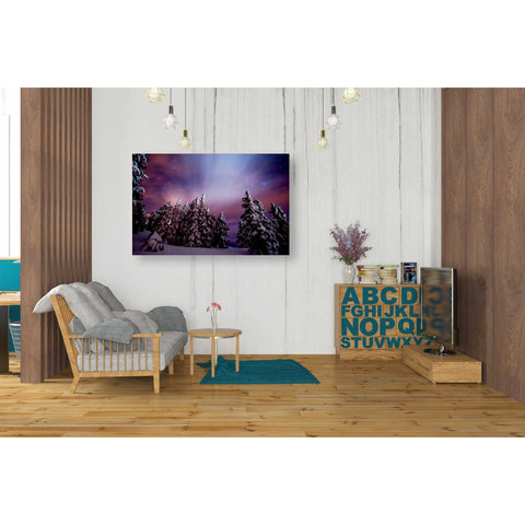 Image of 'Winter Nights' by Darren White, Canvas Wall Art,26 x 40