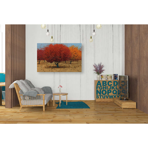 Image of 'Orange Trees II' by James Wiens, Canvas Wall Art,26 x 40