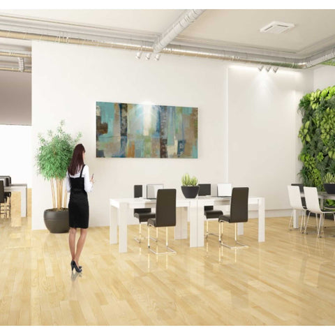 Image of 'Skylights' by Silvia Vassileva, Canvas Wall Art,30 x 60