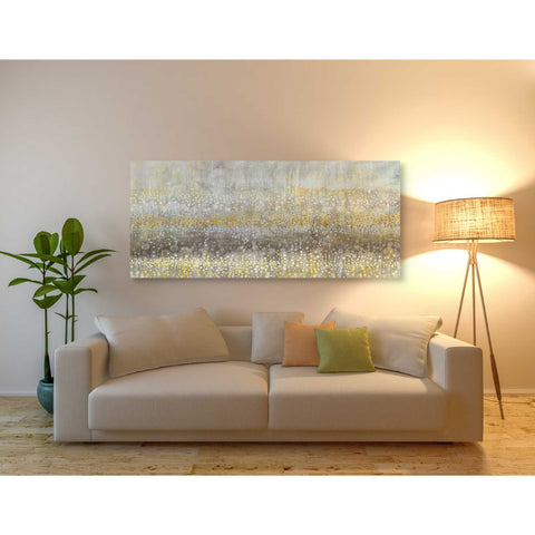 Image of 'Rain Abstract II Crop' by Danhui Nai, Canvas Wall Art,30 x 60