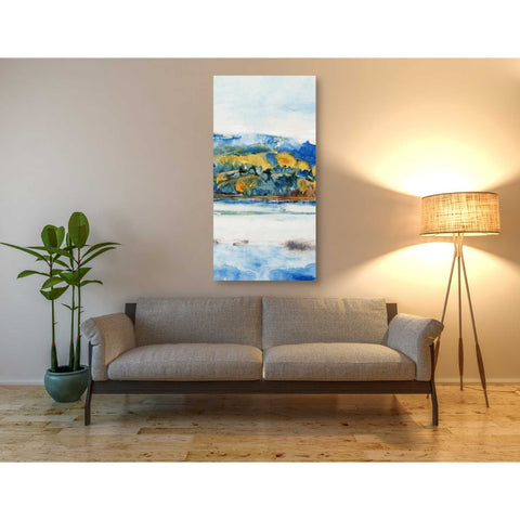 Image of 'Island Mist II' by Tim O'Toole Canvas Wall Art,30 x 60