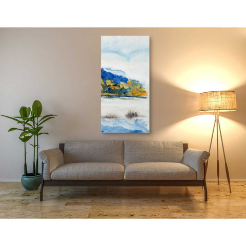Image of 'Island Mist III' by Tim O'Toole Canvas Wall Art,30 x 60