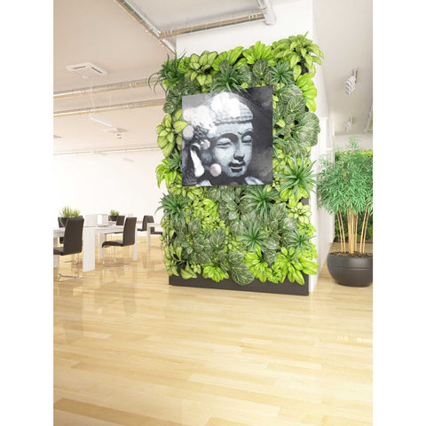 Image of 'Peaceful Buddha III' by Linda Woods, Canvas Wall Art,37 x 37