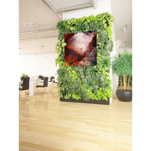 Image of 'Dark Nebulae' Hubble Space Telescope Canvas Wall Art,37 x 37