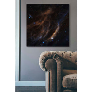 'Within Canis Majoris' Hubble Space Telescope Canvas Wall Art,37 x 37