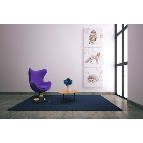 Image of 'Woodland Walk XI' by Lisa Audit, Canvas Wall Art,,37 x 37