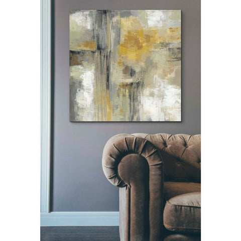 Image of 'Sun and Rain' by Silvia Vassileva, Canvas Wall Art,37 x 37