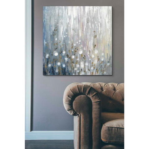 Image of 'January Branches' by Silvia Vassileva, Canvas Wall Art,37 x 37
