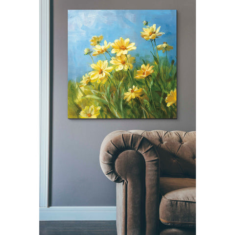 Image of 'Summer Field I' by Danhui Nai, Canvas Wall Art,37 x 37