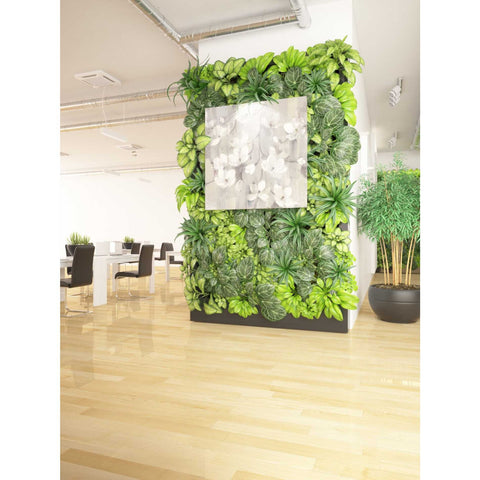 Image of 'Magnolias in Spring II Neutral' by Albena Hristova, Canvas Wall Art,37 x 37