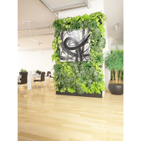 Image of 'Roller Coaster I on White' by Albena Hristova, Canvas Wall Art,37 x 37