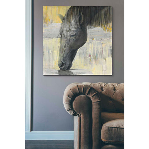 Image of 'Caleb' by Albena Hristova, Canvas Wall Art,37 x 37