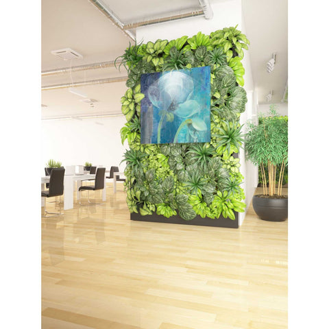 Image of 'Moonlight Garden' by Albena Hristova, Canvas Wall Art,37 x 37