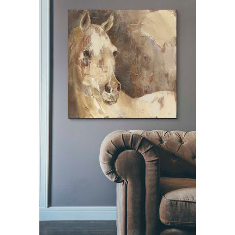 Image of 'Jasmine' by Albena Hristova, Canvas Wall Art,37 x 37