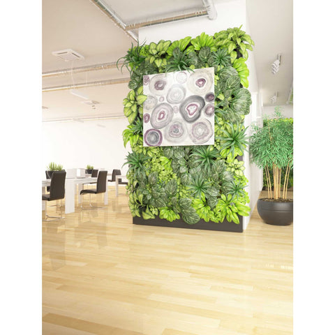 Image of 'Rings of Power v2' by Albena Hristova, Canvas Wall Art,37 x 37